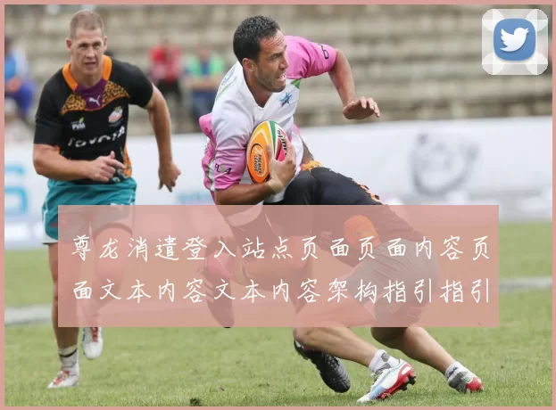 尊龙消遣登入站点页面页面内容页面文本内容文本内容架构指引指引内容说明信息文本内容