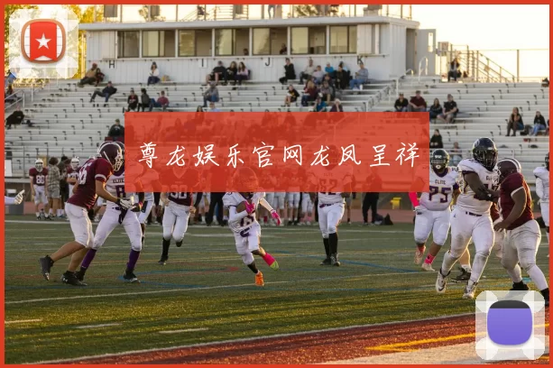 尊龙娱乐官网龙凤呈祥