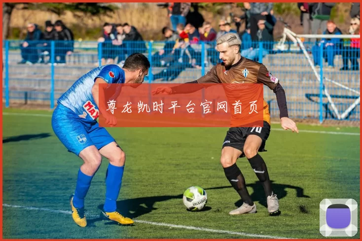 尊龙凯时平台官网首页