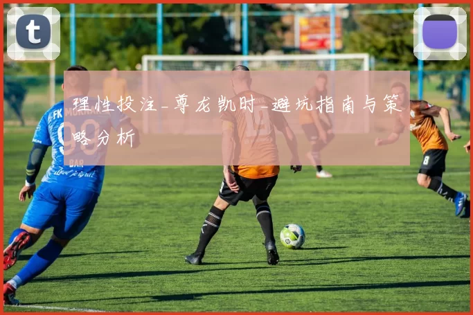 理性投注_尊龙凯时_避坑指南与策略分析