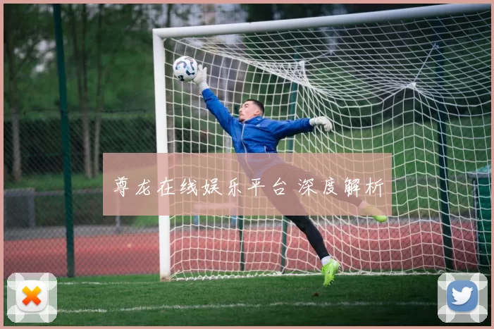 尊龙在线娱乐平台 深度解析