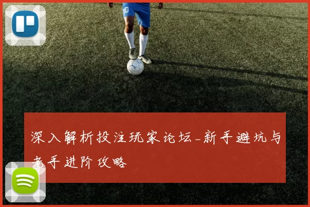 深入解析投注玩家论坛_新手避坑与老手进阶攻略