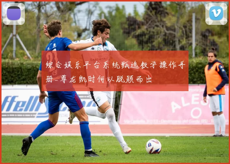 综合娱乐平台系统甄选教学操作手册_尊龙凯时何以脱颖而出