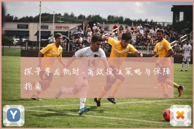 探寻尊龙凯时_高效投注策略与保障指南