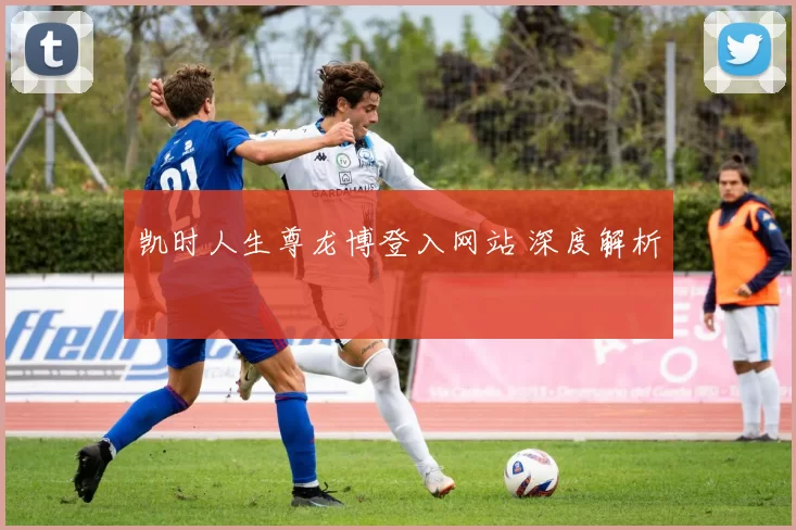 凯时人生尊龙博登入网站 深度解析