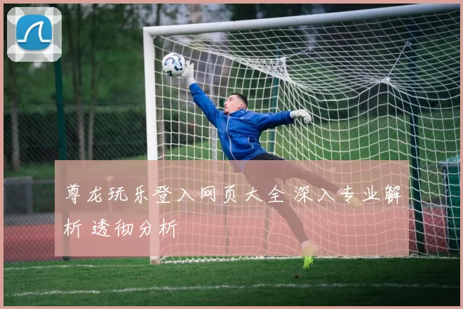 尊龙玩乐登入网页大全 深入专业解析 透彻分析