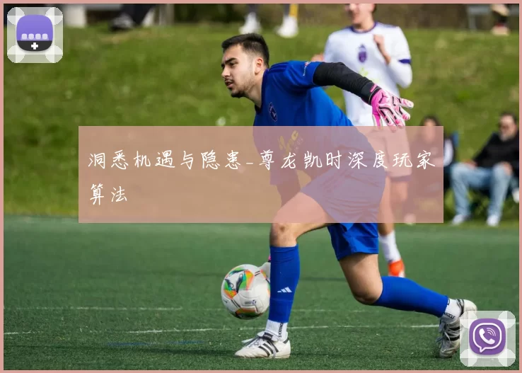 洞悉机遇与隐患_尊龙凯时深度玩家算法