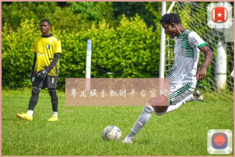 尊龙娱乐凯时平台官网