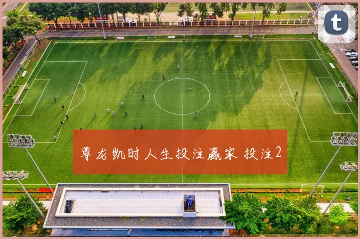 尊龙凯时人生投注赢家 投注2