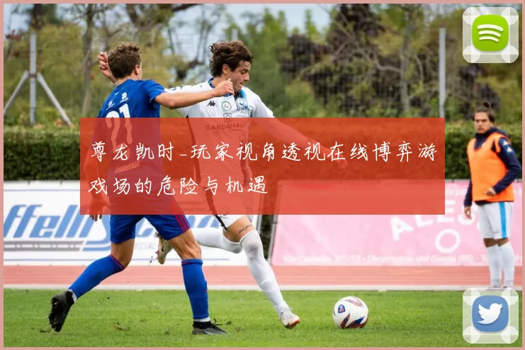 尊龙凯时_玩家视角透视在线博弈游戏场的危险与机遇