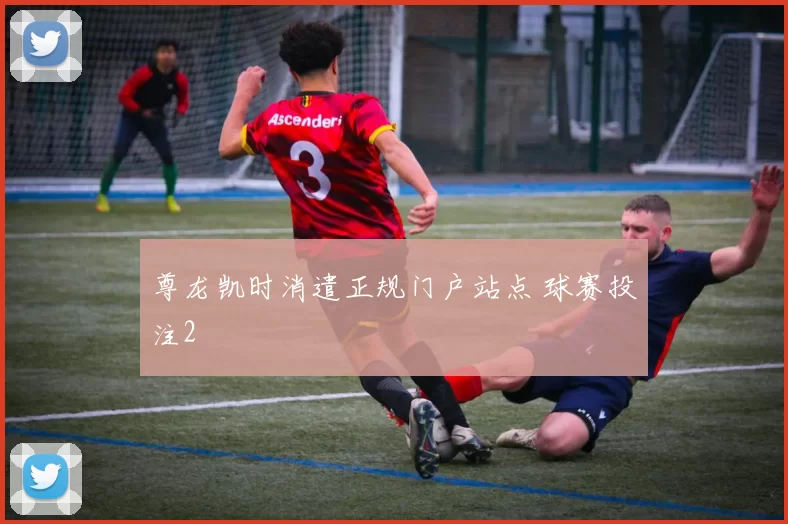尊龙凯时消遣正规门户站点 球赛投注2