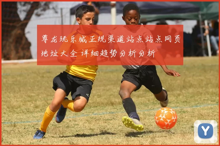 尊龙玩乐城正规渠道站点站点网页地址大全 详细趋势分析分析