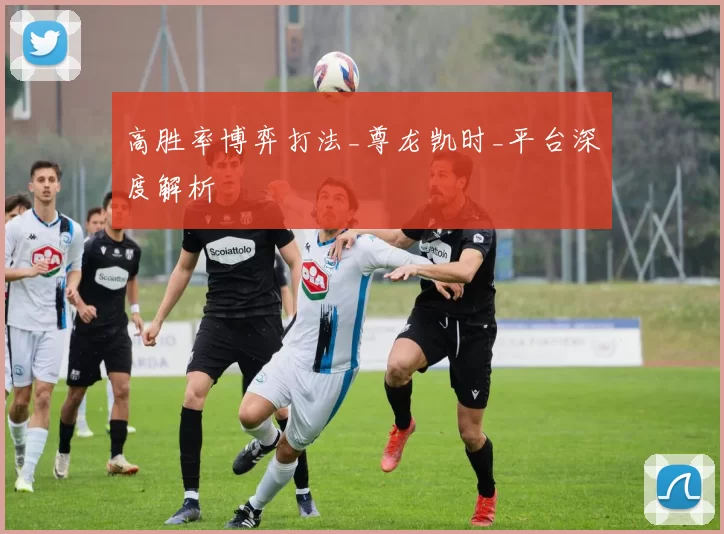 高胜率博弈打法_尊龙凯时_平台深度解析