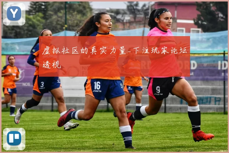 虚拟社区的真实力量_下注玩家论坛透视