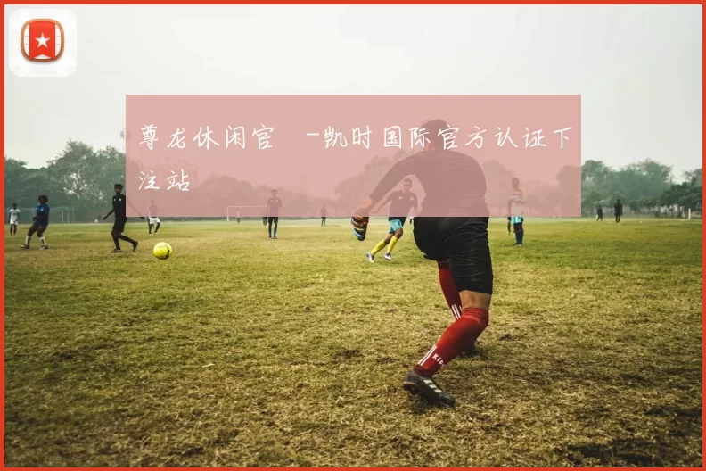 尊龙休闲官網-凯时国际官方认证下注站