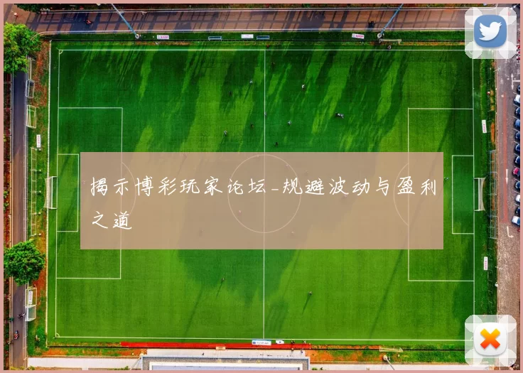 揭示博彩玩家论坛_规避波动与盈利之道