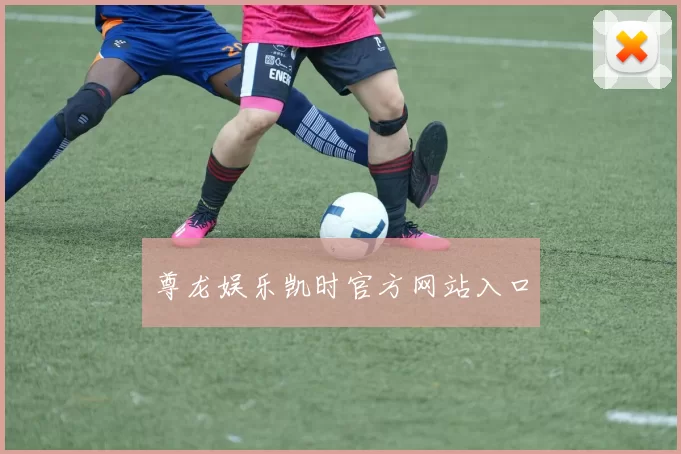 尊龙娱乐凯时官方网站入口