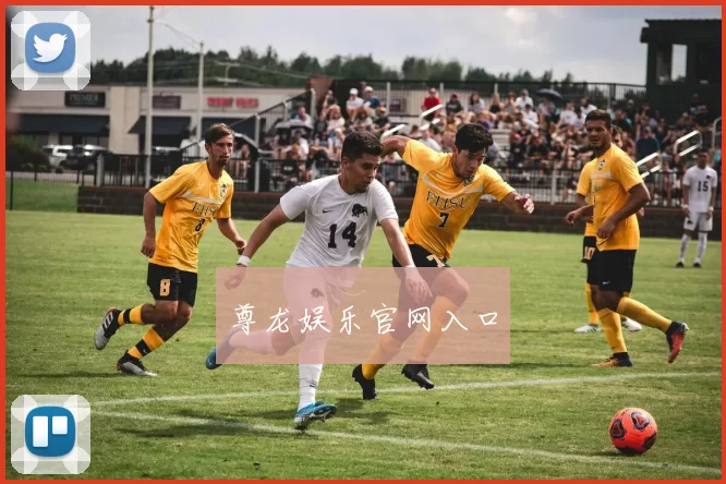 尊龙娱乐官网入口